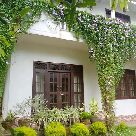 Abha Villa-3